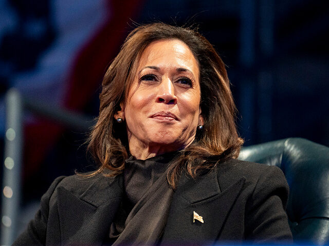 Watch: Kamala Harris Gives Word Salad Praise of ‘Community’ to L.A. Fire Victims