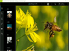 Adobe Photoshop Express 3.8.411 Screenshot 2