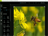 Adobe Photoshop Express 3.8.411 Captura de Pantalla 3